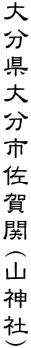 啪啪s(R_)