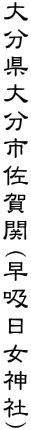 啪啪s(z_)